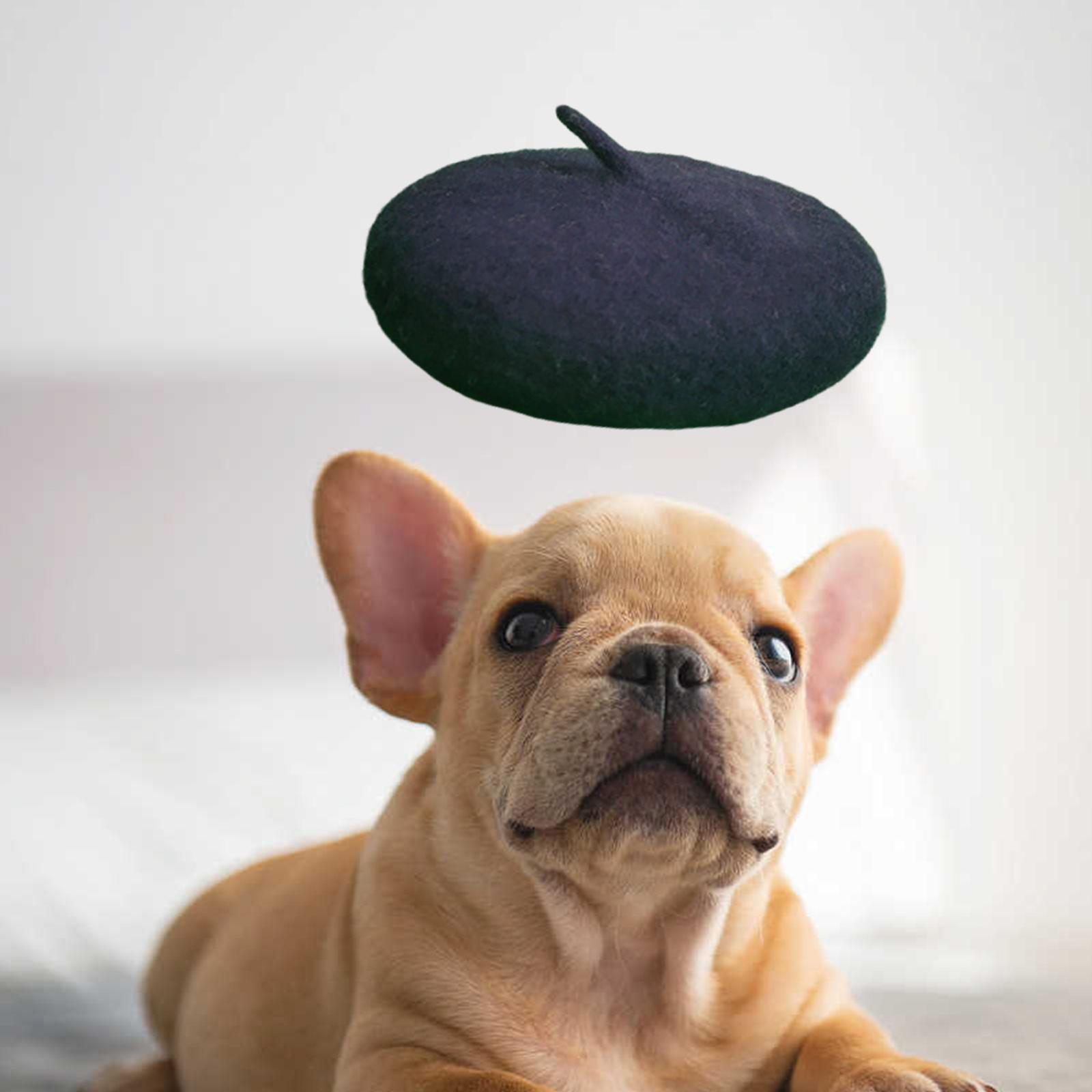 Dog in outlet beret